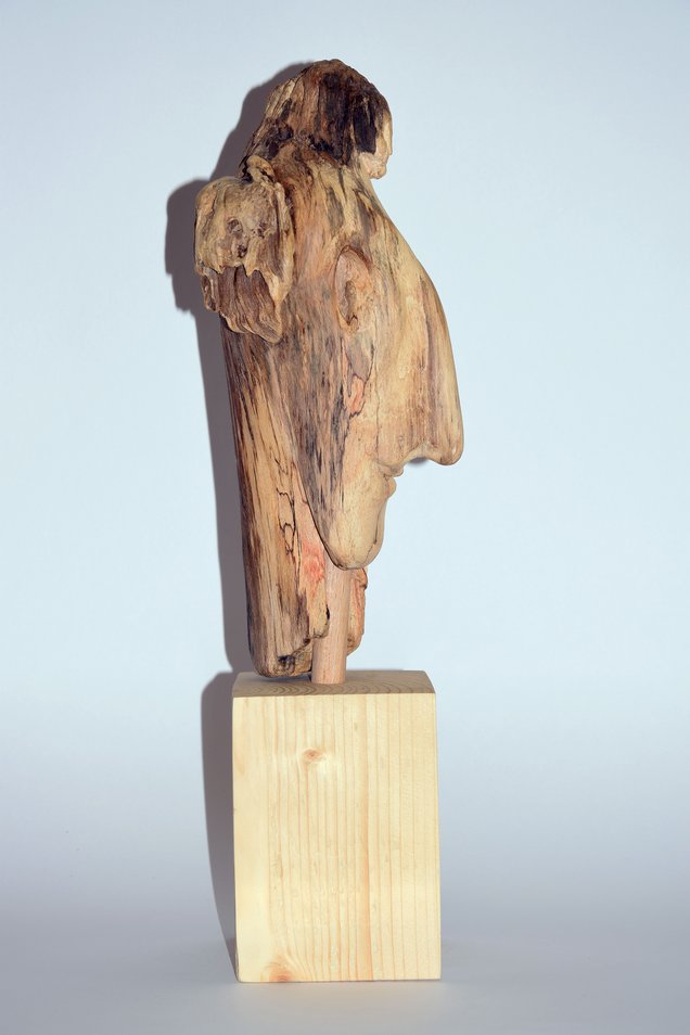 Zwei Gesichter Zwei Gesichter