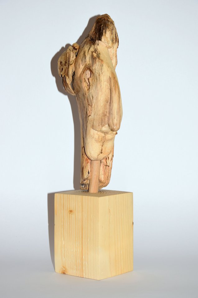 Zwei Gesichter Zwei Gesichter